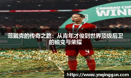 范戴克的传奇之路：从青年才俊到世界顶级后卫的蜕变与荣耀